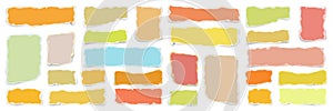 Ripped various colorful paper strips. Realistic crumpled paper scraps with torn edges. Shreds of notebook pages. Vector