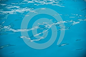 Ripped water in swimming pool. Surface of blue swimming pool, background of water.