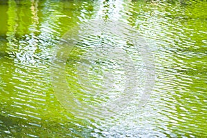 ripple green water texture