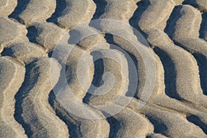 Ripple marks on a beach