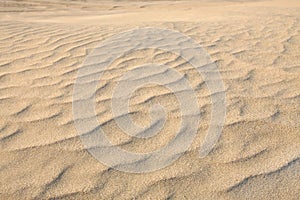 Ripple marks caused by wind action on sand dunes