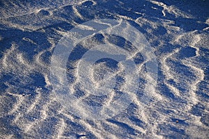 Ripple marks (wind ripples) on the sandy beach.
