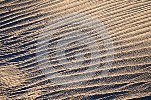 Ripple marks (wind ripples) on the sandy beach.