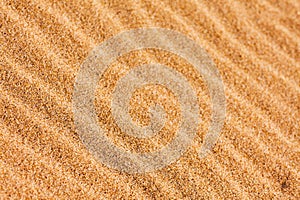 Ripple patterns on the sand