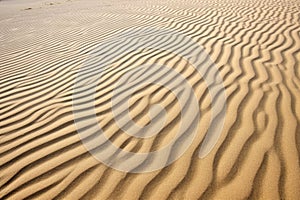 ripple patterns on the surface of sand dunes