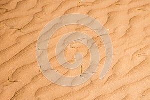 Ripple sand dunes texture background. Desert, sandy waves