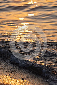 Ripple sea ocean water surface with golden sunset light. Sea wave close up