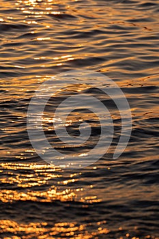 Ripple sea ocean water surface with golden sunset light. Sea wave close up