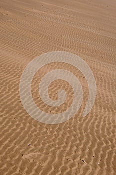 Rippled beach sand