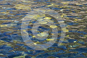 Rippled blue water surface with yellow reflections