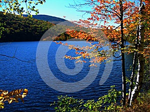 Rippled Lake in Fall