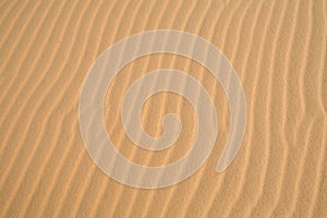 Rippled sand background