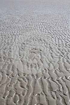 Rippled sand background