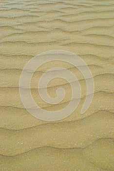 Rippled sand background