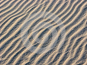 Rippled sand background with wind-blown furrows