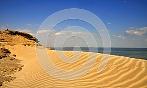 Rippled Sand and Blue Skies