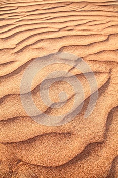 Rippled sand in desert.