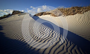 Rippled sand dunes