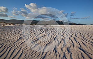 Rippled sand dunes