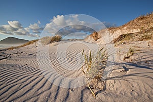 Rippled sand dunes