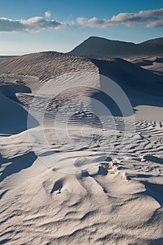 Rippled sand dunes