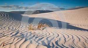 Rippled sand dunes