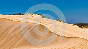 Rippled sand dunes at the Donnelly river mouth beach at Pemberton WA