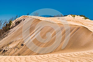 Rippled sand dunes at the Donnelly river mouth beach at Pemberton WA