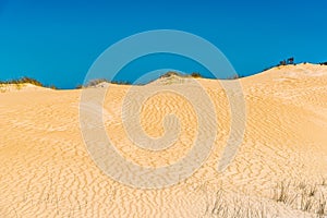 Rippled sand dunes at the Donnelly river mouth beach at Pemberton WA