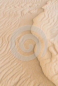 Rippled sand dunes at the Donnelly river mouth beach at Pemberton WA photo