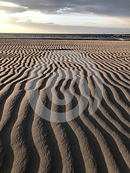 Rippled sand dunes in early morning light on Grado beach - Italy
