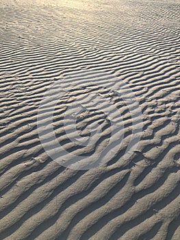 Rippled sand dunes in early morning light on Grado beach - Italy