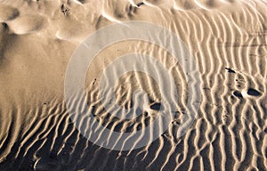 Rippled sand