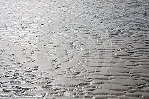 Rippled sand at the morning