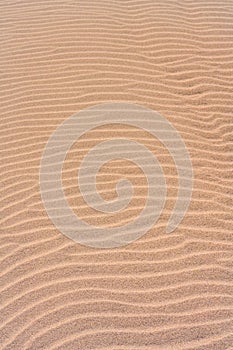 Rippled sand texture