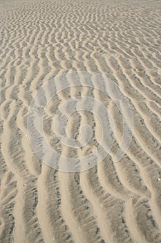 Rippled sand texture