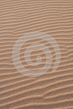 Rippled sands in the beach