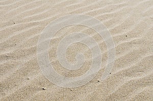 Rippled sandy beach for background