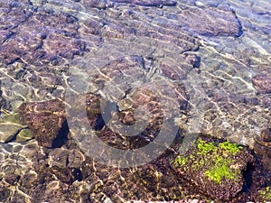 Rippled surface of stony seabed