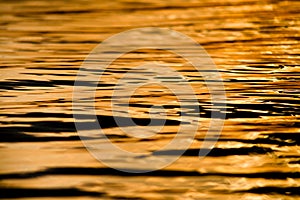 Rippled water surface in sunset light, background