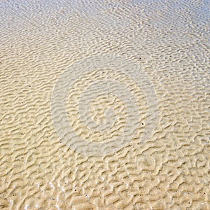 Rippled Wet Sand Background