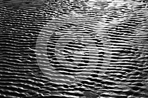 Rippled wet sand patterns