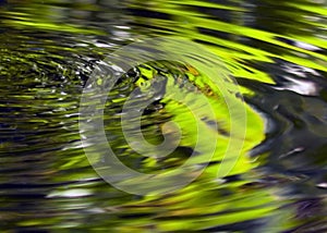 Ripples