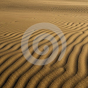 Ripples in fine, brown sand create an undulating pattern, likely formed by wind. The