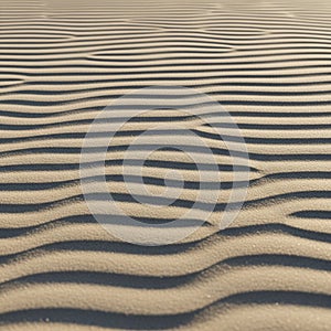 Ripples in fine sand create a pattern of undulating lines, casting shadows that