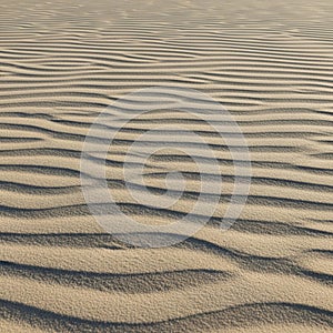Ripples in fine sand create a pattern of undulating lines, casting shadows that