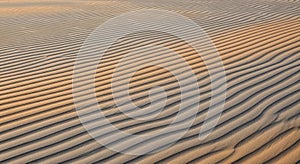 Ripples of fine sand create a