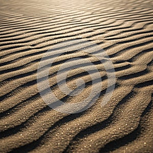 Ripples in fine sand create a