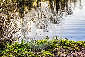 Ripples on a Lake