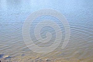Ripples in the Lake Water